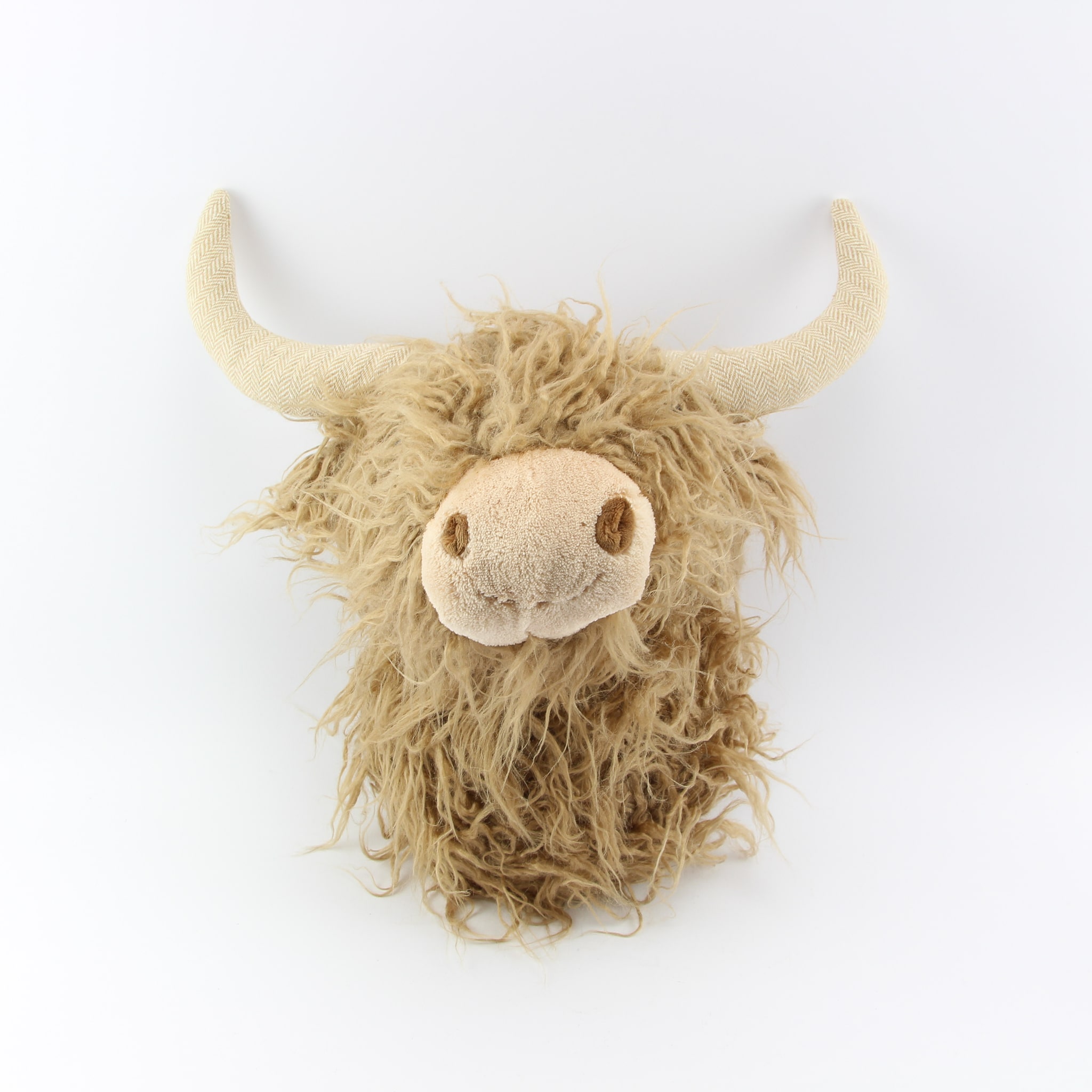 Schotse hooglander