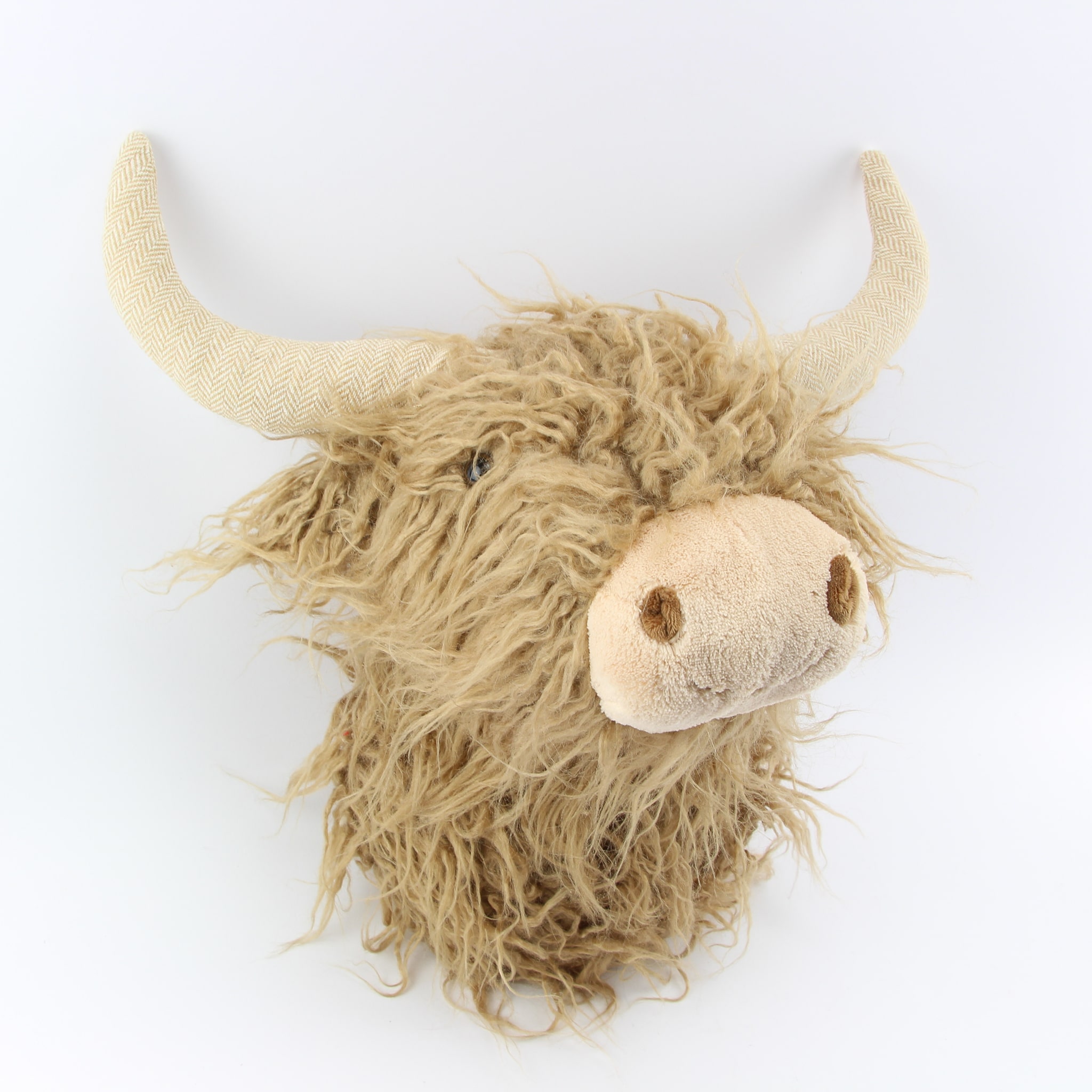 Schotse hooglander - Loeks nice product foto 432 min - 6095